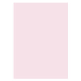 Lofaris Light Pink Solid Color Studio Photography Backdrop